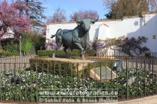 Spanien | Autonome Gemeinschaft Andalusien | Ronda |