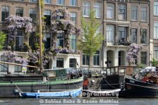 Niederlande | Nordholland | Amsterdam | Centrum | Amstel |