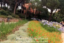 Spanien | Cataluña | Barcelona | Gràcia | Park Güell |