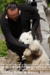 Deutschland | Berlin | Berlin | Berlin-Mitte | Zoologische Garten Berlin | Thomas Dörflein und Eisbär Knut |