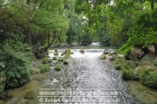 Deutschland | Bayern | München | Englischer Garten | Eisbach |