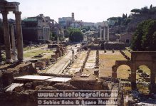 Italien | Latium | Rom | Forum Romanum |