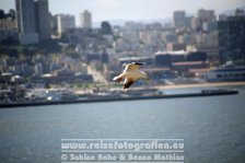 USA | Kalifornien | San Francisco | Blick von Alcatraz auf San Francisco |