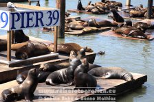 USA | Kalifornien | San Francisco | Pier 39 |