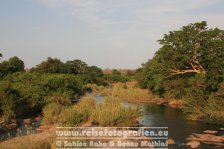 Republik Südafrika | Provinz Mpumalanga | Krüger-Nationalpark |