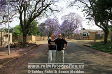 Republik Südafrika | Provinz Gauteng | Johannesburg | Houghton |  Jacaranda-Allee |