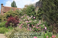 UK | England | Kent | Sissinghurst Castle |