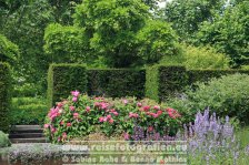 UK | England | Kent | Sissinghurst Castle |