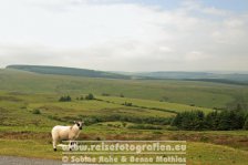 UK | England | Devon | Dartmoor |