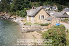 UK | England | Cornwall | Glendurgan Garden |