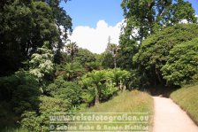 UK | England | Cornwall | Glendurgan Garden |