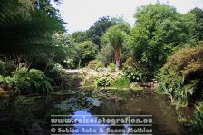 UK | England | Cornwall | Madron | Trengwainton Garden |