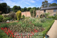 UK | England | Cornwall | Madron | Trengwainton Garden |