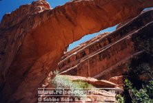 USA | Utah | Arches-Nationalpark |