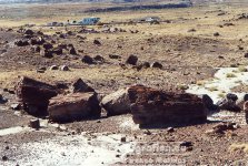 USA | Arizona | Petrified-Forest-Nationalpark |