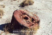 USA | Arizona | Petrified-Forest-Nationalpark |