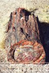 USA | Arizona | Petrified-Forest-Nationalpark |