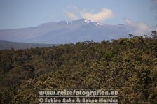 USA | Hawaii | Big Island | Volcanoes National Park | Mauna Kea |