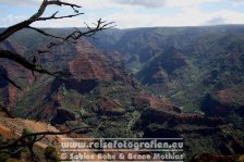 USA | Hawaii | Kauai | Waimea Canyon |