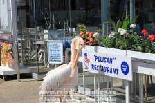 Zypern | Republik Zypern | Paphos | Hafen |