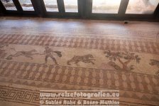 Zypern | Republik Zypern | Paphos | Archäologischer Park Paphos |