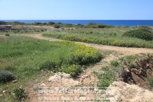 Zypern | Republik Zypern | Paphos | Königsgräber von Nea Paphos |